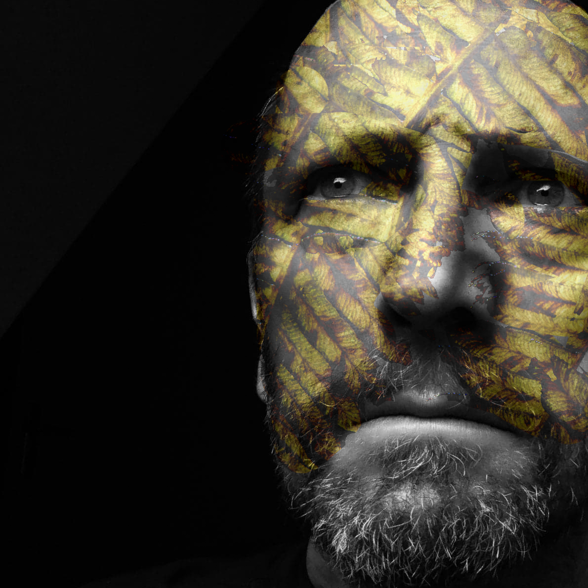 jemmccluskey.com